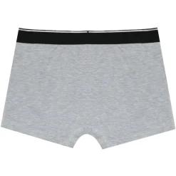 Boxer Uni Bande Gris