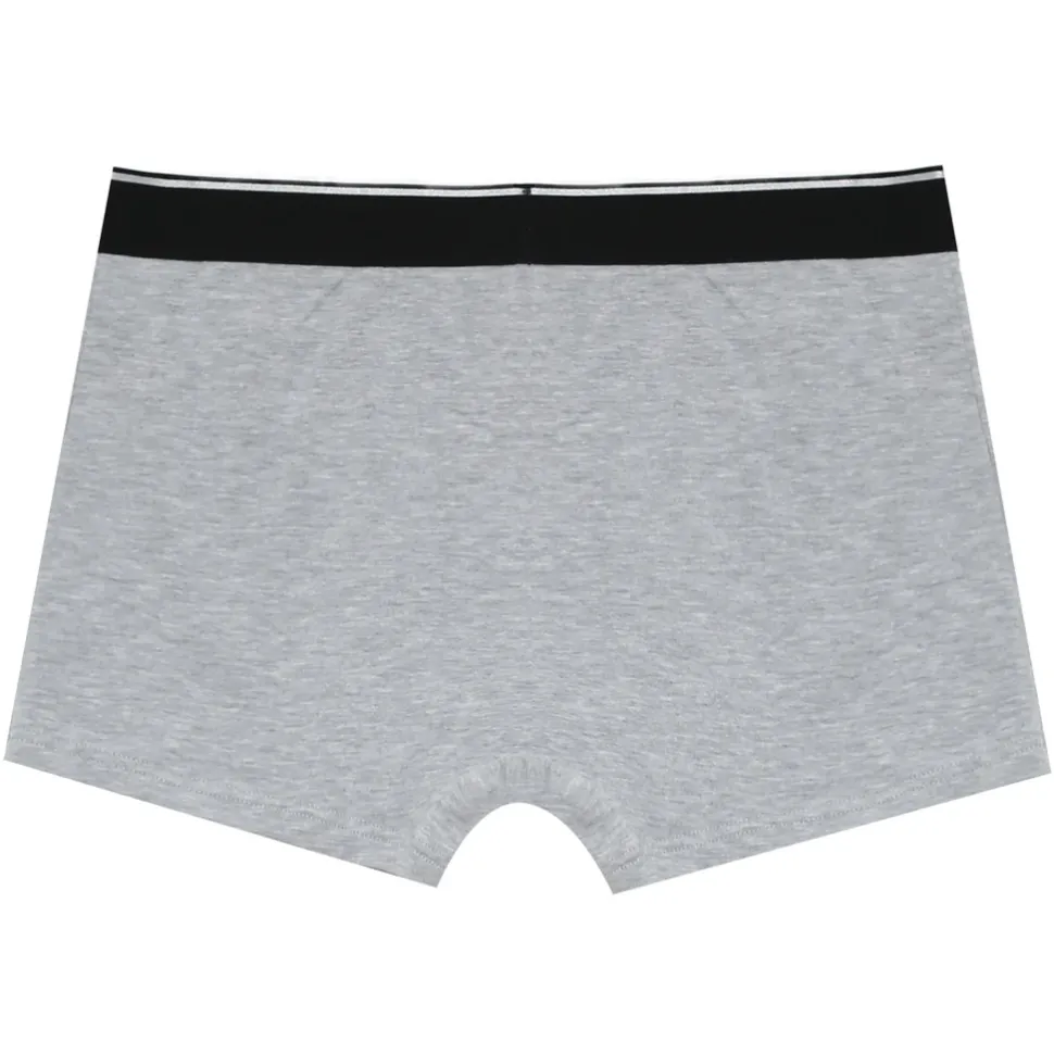 Boxer Uni Bande Gris
