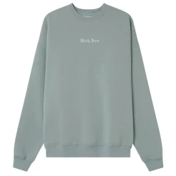Sweat Broderies Crew Oversize Bleu Clair