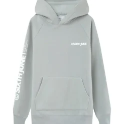 Sweat Capuche Molletonne Logo Gris