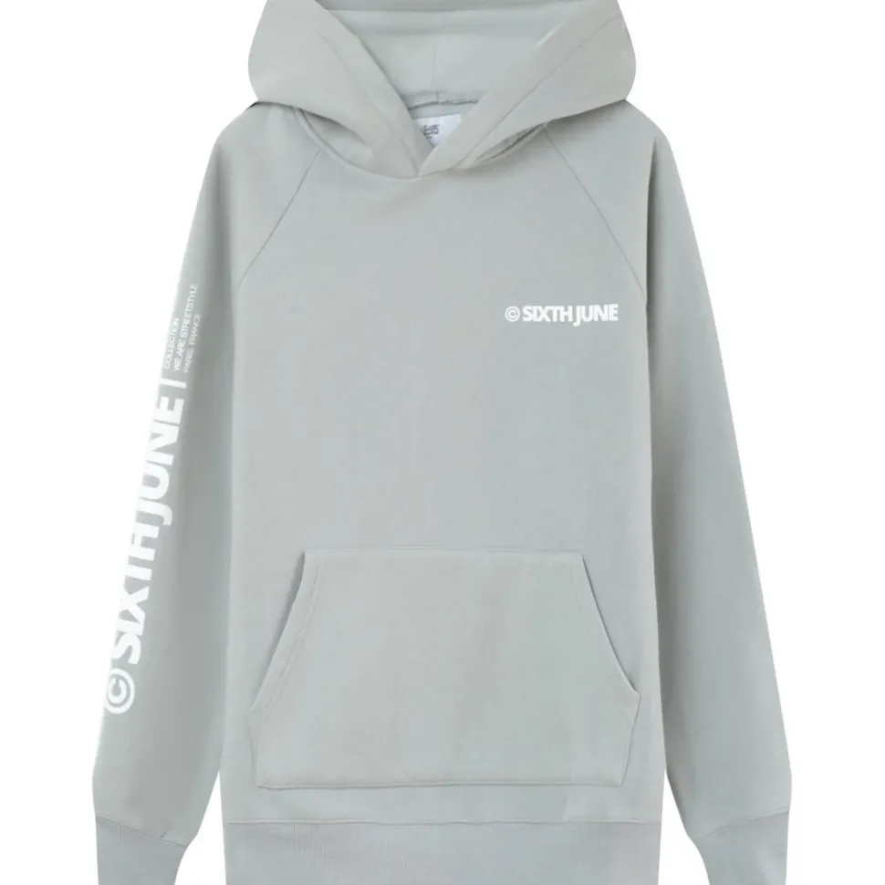 Sweat Capuche Molletonne Logo Gris