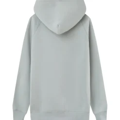 Sweat Capuche Molletonne Logo Gris