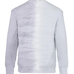 Sweatshirt Bicolore Delave Logo Gris Clair