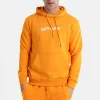 Sweatshirt Capuche Logo Brode Orange