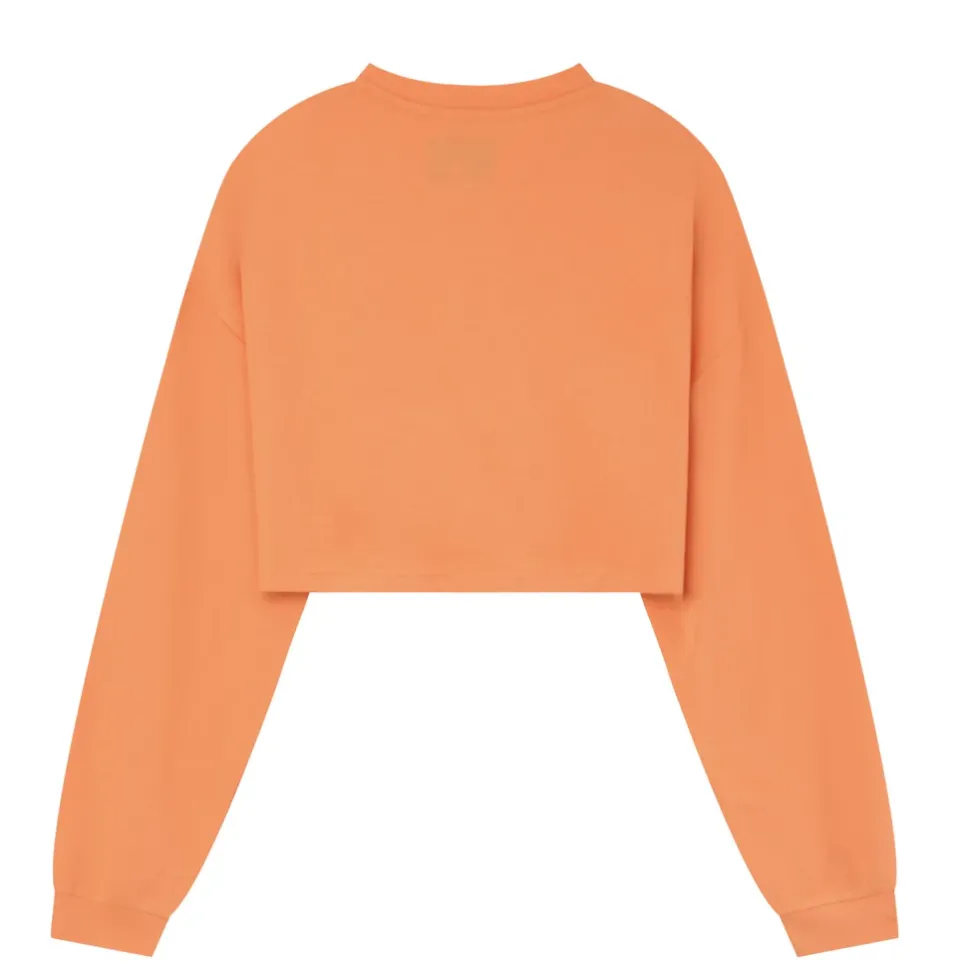 Sweatshirt Court Sport Orange