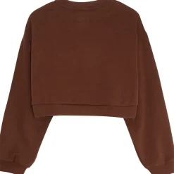 Sweatshirt Signature Molletonnee Marron Fonce