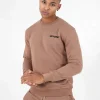 Sweatshirt Soft Logo Brode Marron Clair