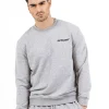 Sweatshirt Soft Logo Brode Gris