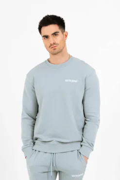 Sweatshirt Soft Logo Brode Bleu Clair