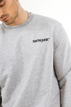 Sweatshirt Soft Logo Brode Gris