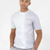 T-Shirt Bicolore Delave Logo Gris